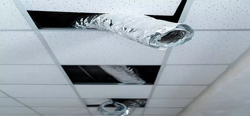 Our Air Duct Pet Hair Removal Services in Oviedo, FL