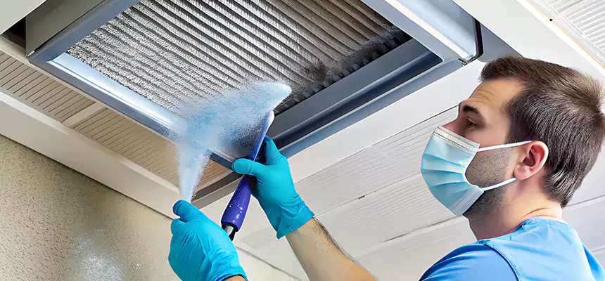 Proactive Dryer Vent & Auxiliary Duct Pollen Cleanup in Oviedo, FL