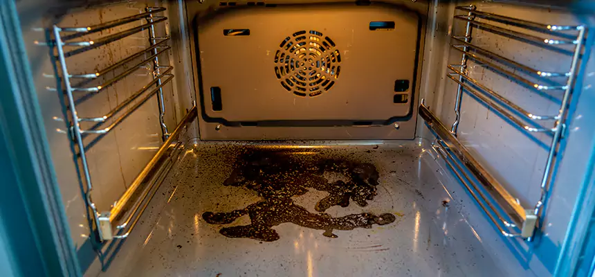 Our Dryer Vent Mold Cleaning Services in Oviedo, FL