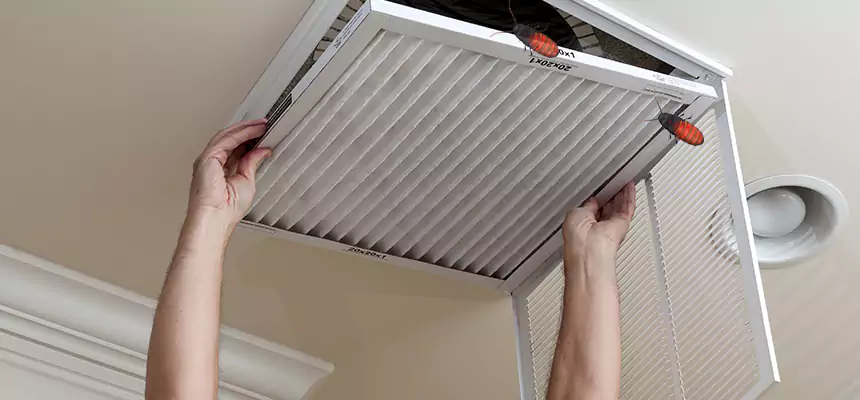 Our Insect Removal from Air Ducts Services in Oviedo, FL