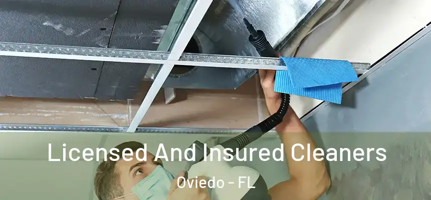 Licensed And Insured Cleaners Oviedo - FL