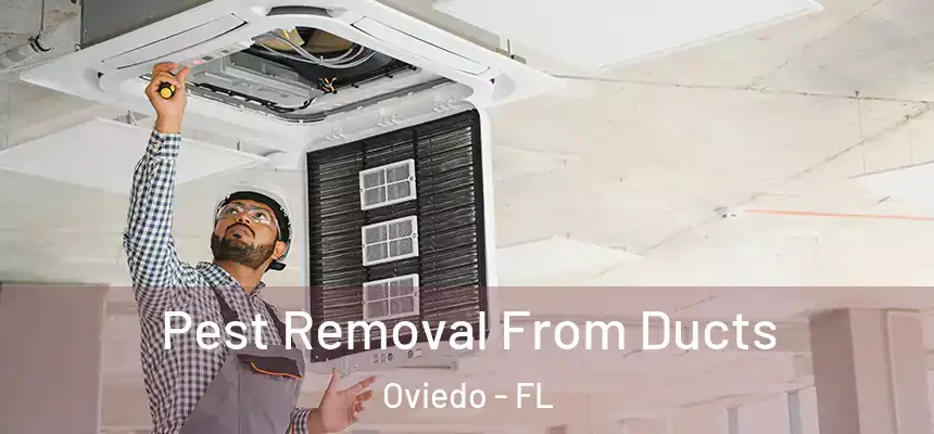 Pest Removal From Ducts Oviedo - FL