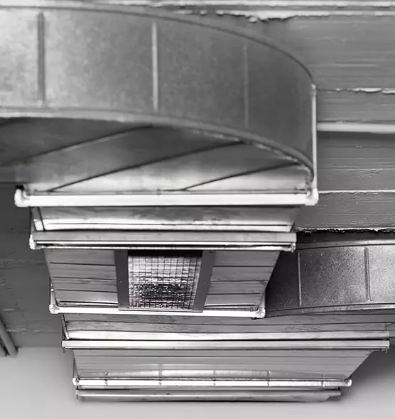 Professional Air Duct Pet Hair Removal in Oviedo, FL