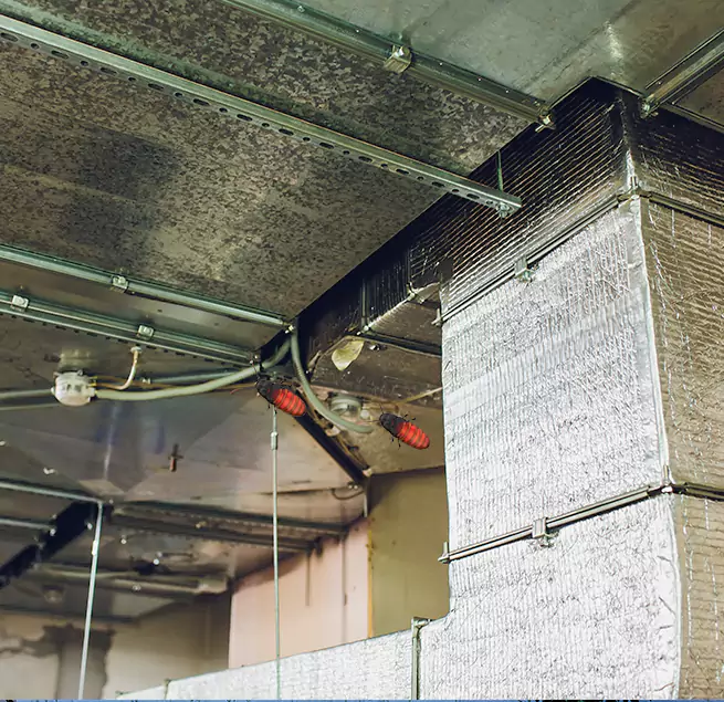 Why Homeowners & Businesses Trust Us in Oviedo, FL?