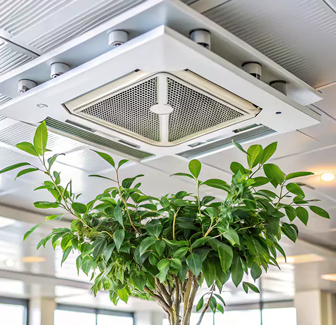 Why Homeowners & Businesses Trust Us in Oviedo, FL