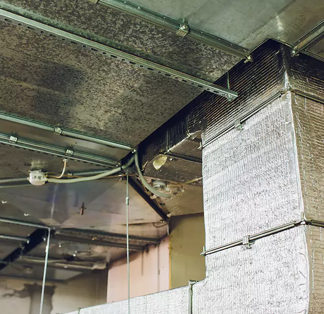 Why Homeowners & Businesses Trust Us in Oviedo, FL?