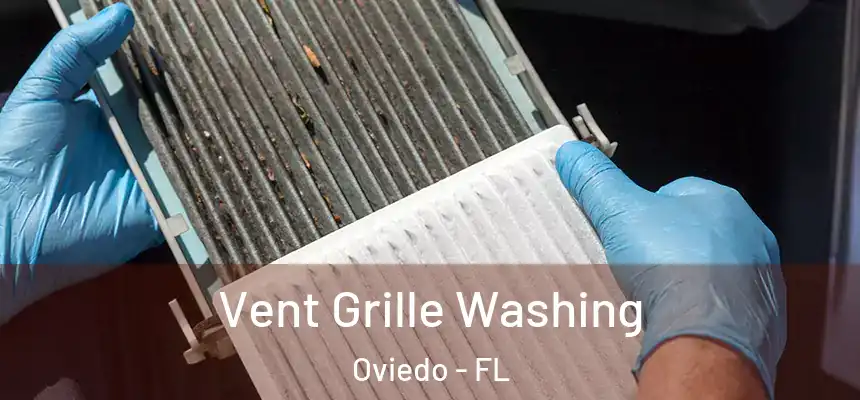  Vent Grille Washing Oviedo - FL